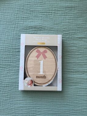 Wooden Monthly Photo Prop - 1 Month Pink Bow